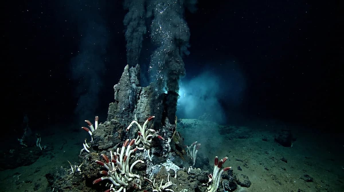 Deep Sea Facts for Kids: 24 Facts From the Dark Ocean